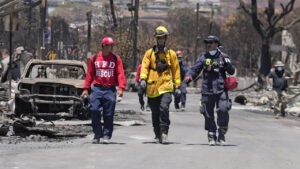 Entre La Recherche Des Victimes Et L&Rsquo;Aide Aux Survivants