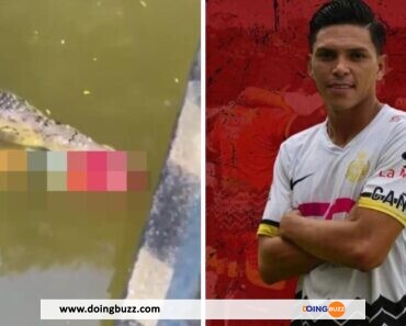 Tragédie Au Costa Rica : Un Footballeur Talentueux Tué Par Un Crocodile