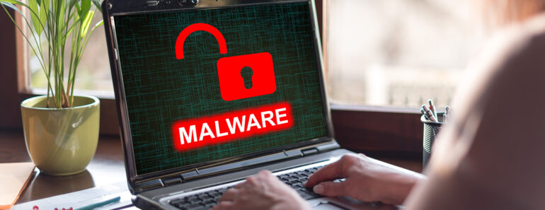 Comment Les Hackers Rendent Leur Malware Invisible En Utilisant Un Vpn