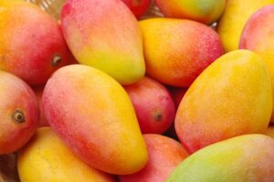 Production de mangues : Un énorme progrès dans ce pays africain