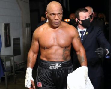 Boxe : Mike Tyson Partage Son Expérience Avec Francis Ngannou