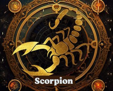 Scorpion : Un Portrait Astrologique De Ce Signe Du Zodiaque