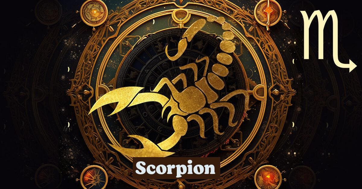 Scorpion Un Portrait Astrologique De Ce Signe Du Zodiaque