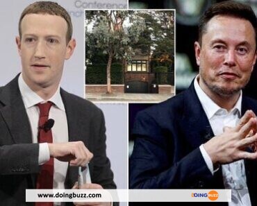 Duel Épique : Elon Musk Chez Mark Zuckerberg Pour Le Combat