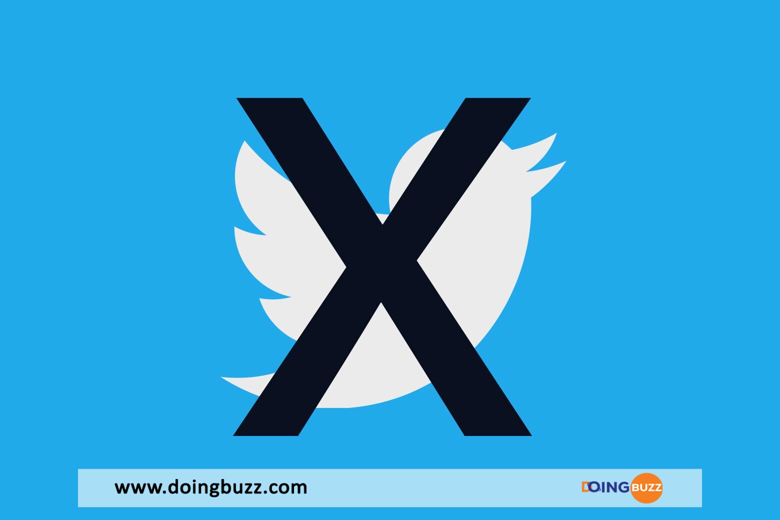 X Twitter Doingbuzz