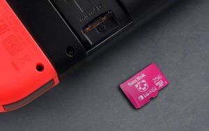 Le Prix De Cette Carte Mémoire Sandisk 256 Go Pour Switch Est Abordable.