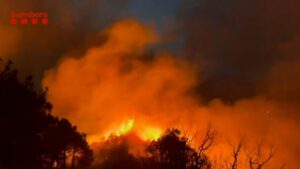 Vidéo – Feu De Forêt À La Frontière Franco-Espagnole : Déjà 200 Hectares Ravagés, Un Village En Confinement