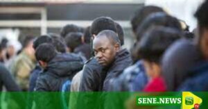 Le Rapatriement De 970 Migrants Effectué Entre Avril Et Juillet Au Sénégal