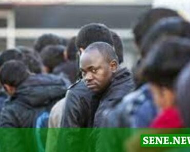 Le Rapatriement De 970 Migrants Effectué Entre Avril Et Juillet Au Sénégal