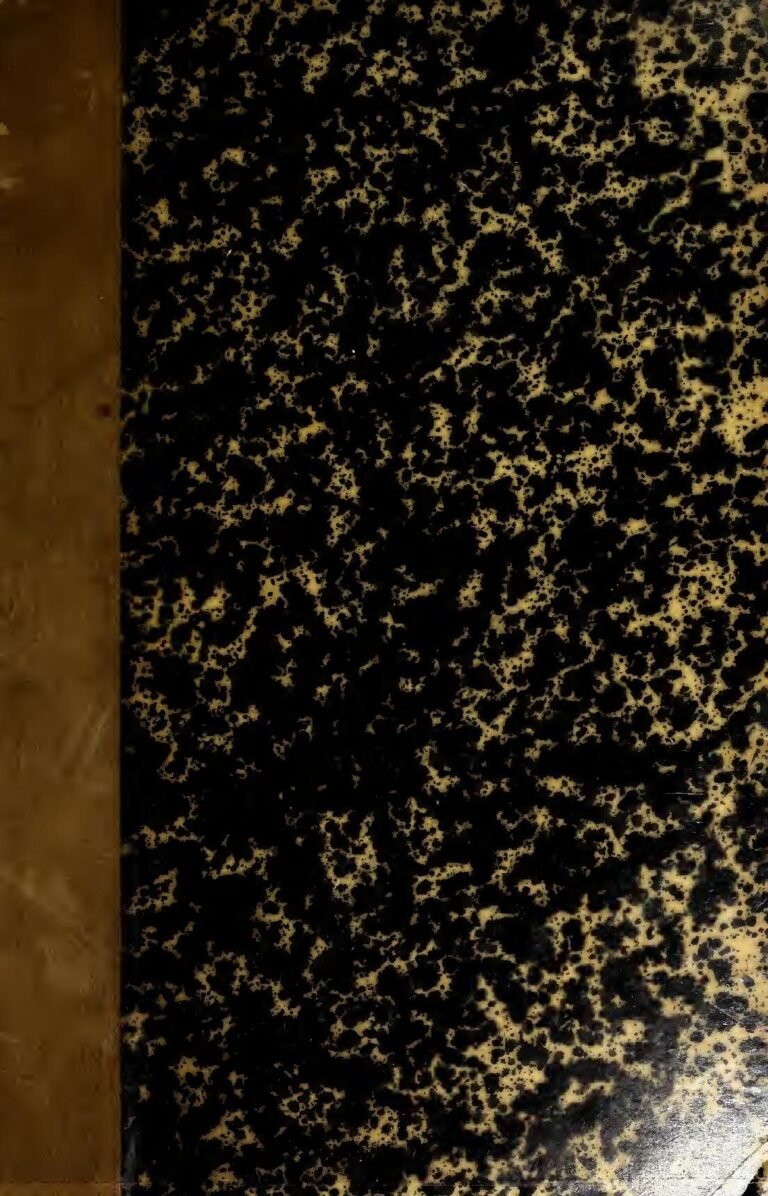 Bourse gratuite aux Etats-Unis à l’université Brandeis