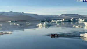 Vidéo – « Stève Le Phoque », Le Ch&Rsquo;Ti Nageur De L&Rsquo;Extrême, Repousse Les Limites De L&Rsquo;Endurance