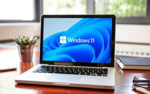 Windows 11 Est De Plus En Plus Populaire, Mais Windows 10 Reste Le Roi Incontesté