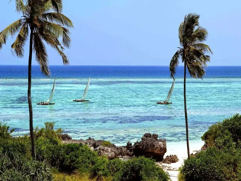 Zanzibar 1.Webp