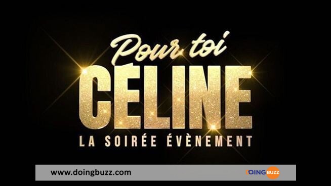 Hommage &Quot;Pour Toi Celine&Quot; : Pourquoi Le Monde Pense Que Celine Dion Est Morte ?