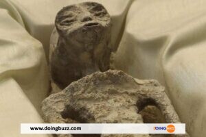 Incroyable ! Découverte Des Extraterrestres Momifiés De 1000 Ans Au Mexique (Video)