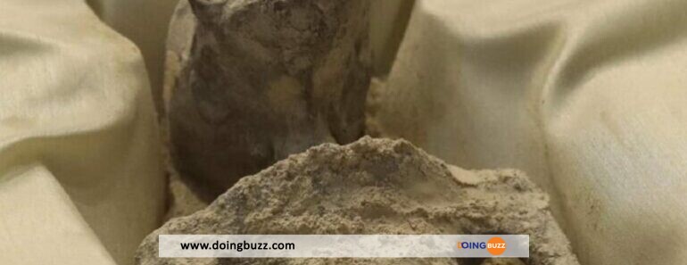Incroyable ! Découverte des extraterrestres momifiés datant de 1000 ans au Mexique (VIDEO)