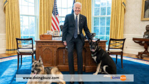 Le Chien Du Président Joe Biden, Commander, Fait Une Nouvelle Victime