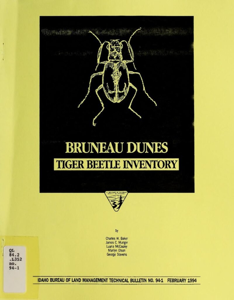 Orange recruits 01 Technical Project Manager