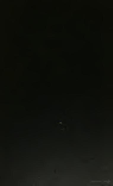 Will Smith : Le célèbre acteur devient un véritable athlète (PHOTO)