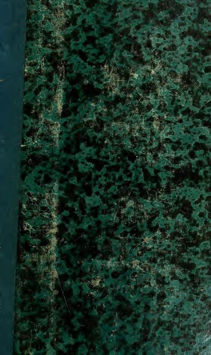 João Félix Aurait Renoncé À Près De 17 M€ Pour Cette Raison !