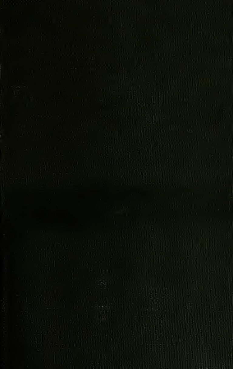 Une tortue à deux têtes découverte en Malaisie (photos)