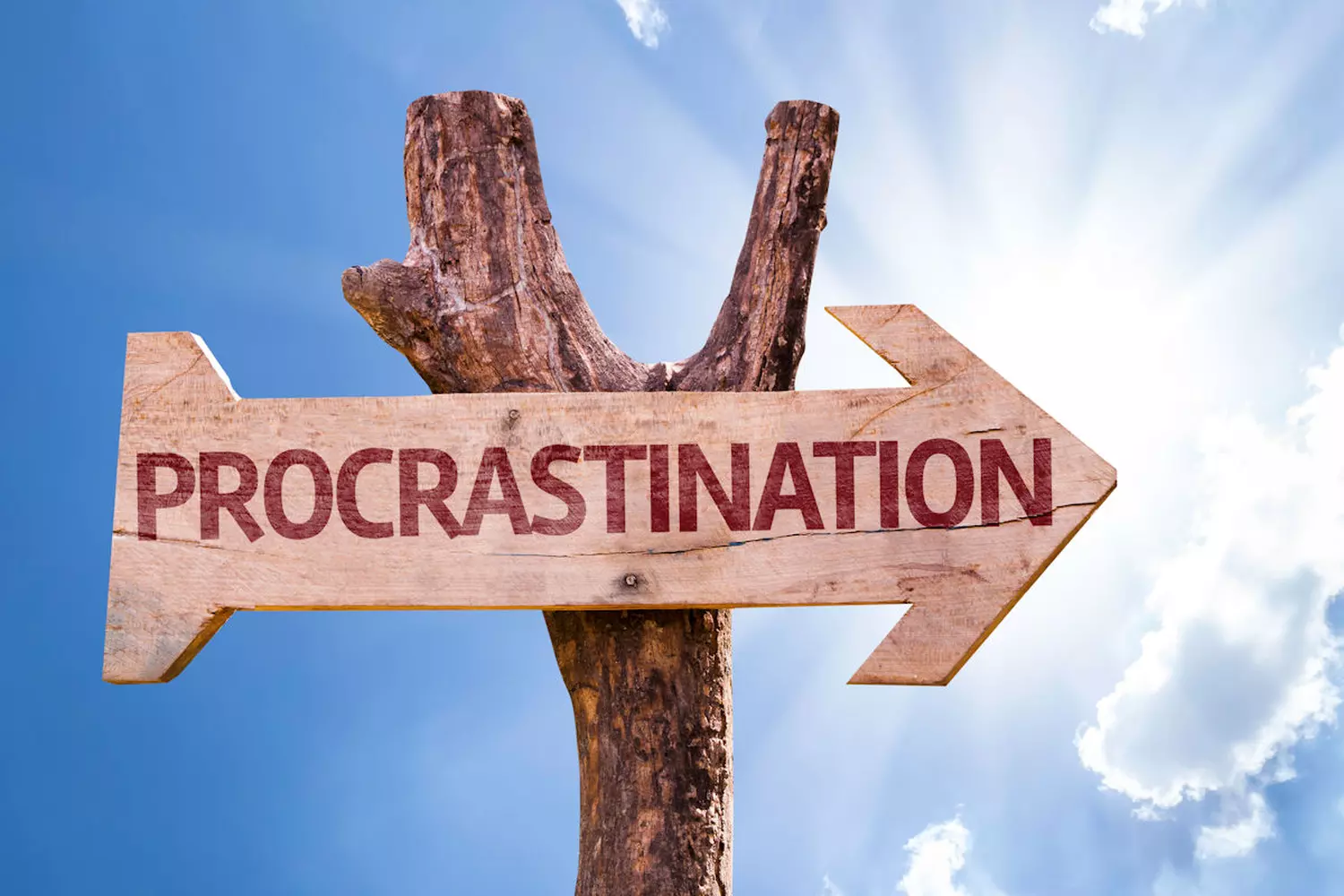 Les Habitudes Du Matin Selon Votre Style De Procrastination