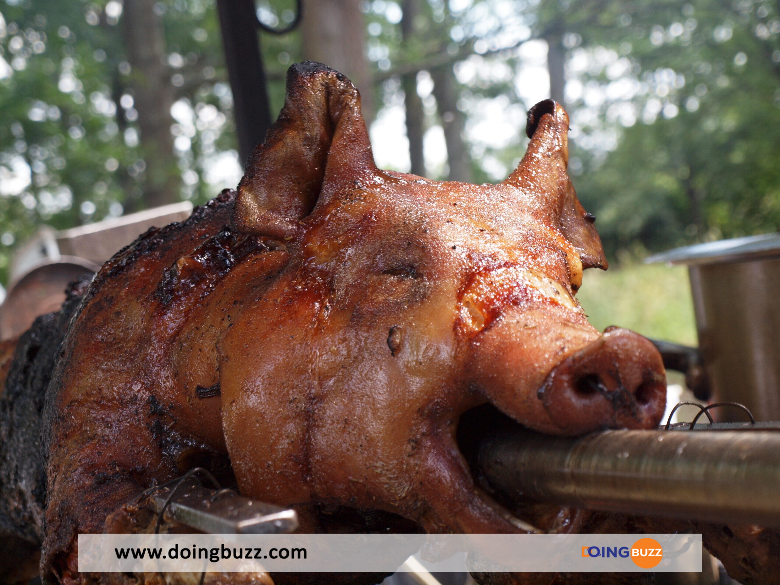  6 Dangers Liés À La Consommation De Viande De Porc