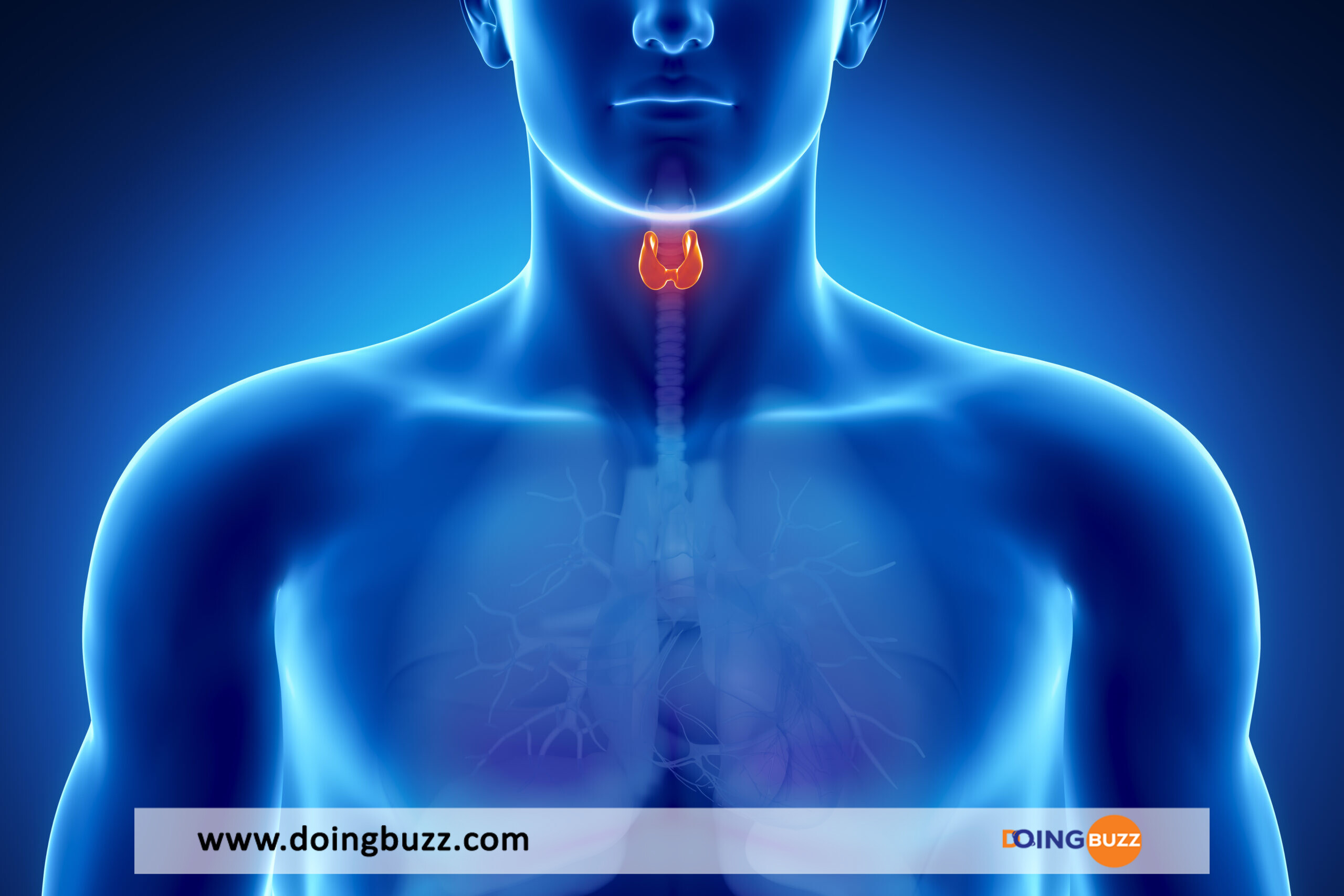 Cancer De La Thyroïde : Ces Signes D'Alerte À Ne Pas Négliger