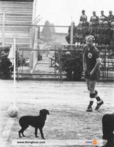 Le Ballon D&Rsquo;Or 1966, Bobby Charlton Est Décédé À L&Rsquo;Âge De 86 Ans ! Voici Son Palmarès