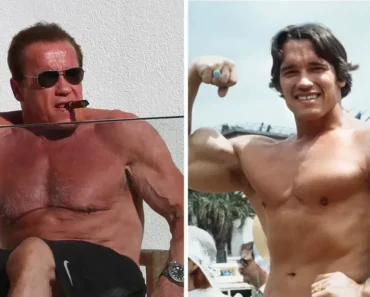 Arnold Schwarzenegger Vieux : &Quot;Beaucoup De Mes Muscles Ont Disparu&Quot;