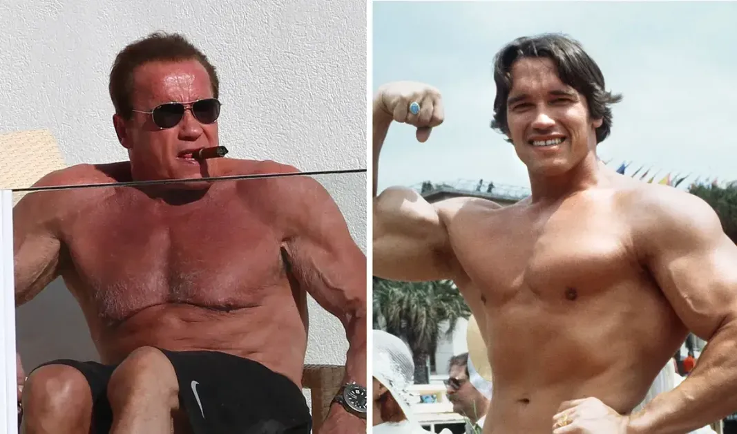 Arnold Schwarzenegger Vieux : &Quot;Beaucoup De Mes Muscles Ont Disparu&Quot;
