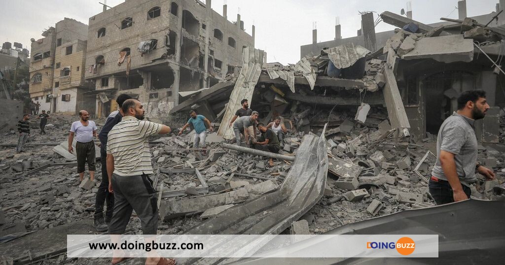 Egypte : Des Volontaires Collectent De L'Aide Humanitaire Pour Gaza