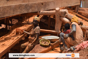 Scandale Au Cameroun : Le Fils Du Ministre Des Mines Cité Dans Une Affaire De Corruption