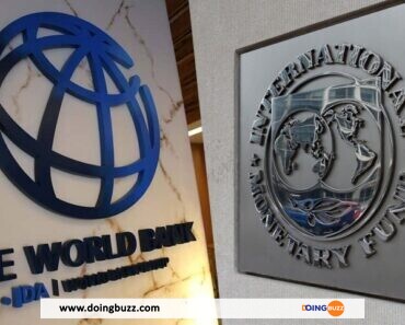 « Pire Arnaque Du Siècle » :  La Banque Mondiale Et Le Fmi Au Centre D&Rsquo;Une Polémique