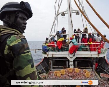 La Marine Sénégalaise  Interceptent  Plus De 300 Candidats À L&Rsquo;Exil