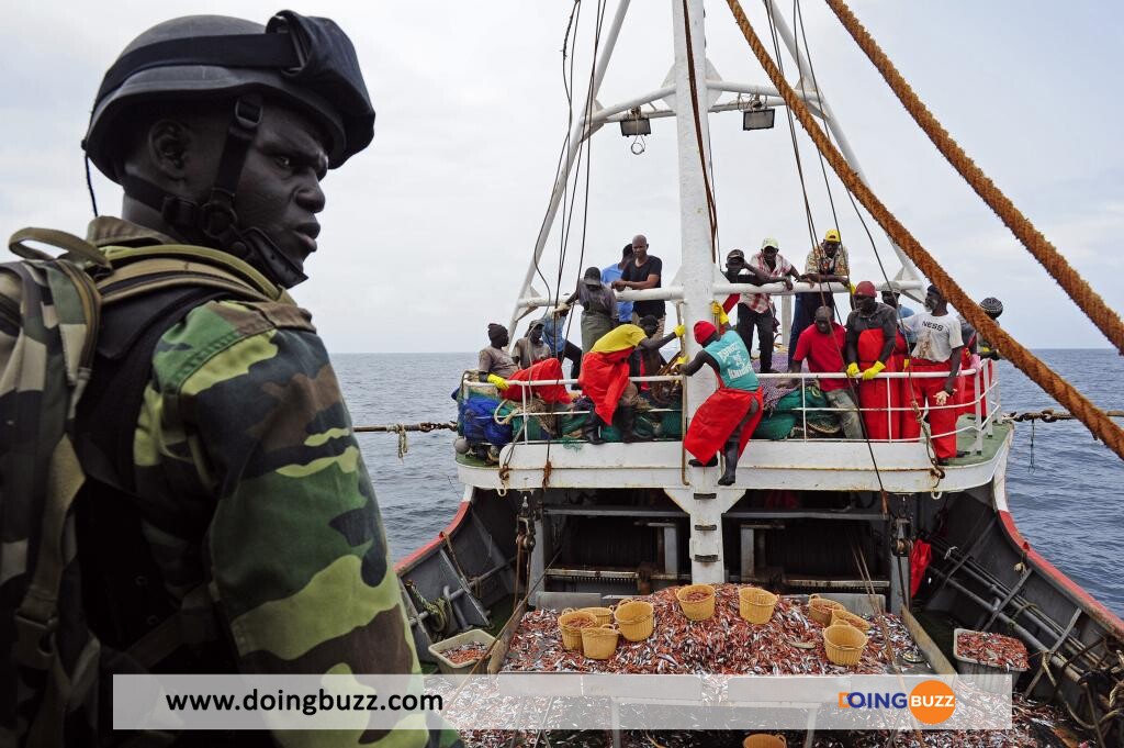 La Marine Sénégalaise Interceptent Plus De 300 Candidats À L'Exil