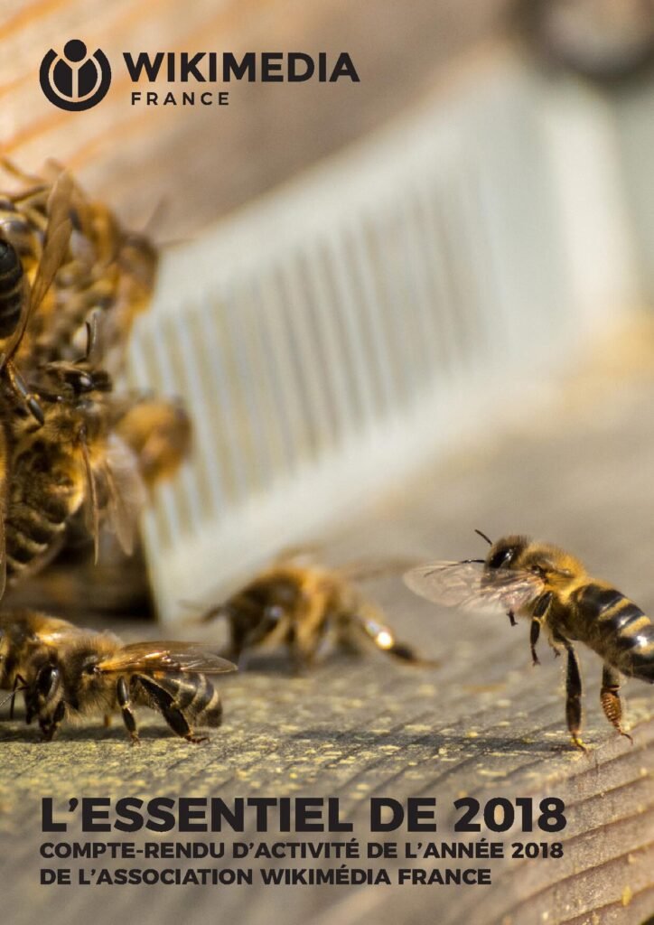 4 choses à savoir sur les investissements des actions avec un compte titres