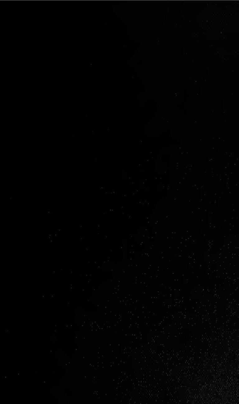 Crise Brésil-France: Le Président Du Brésil Se Moque Du Physique De Brigitte Macron