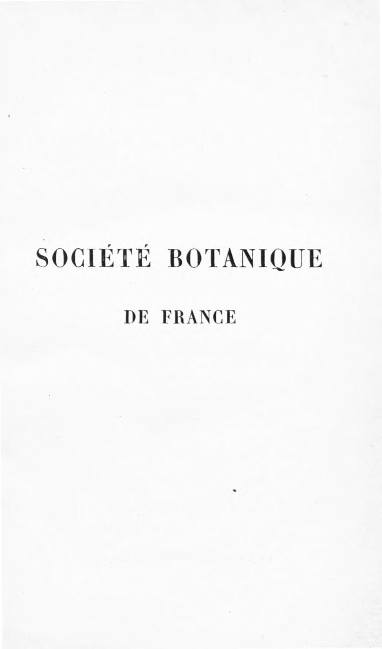 João Félix Est Visiblement Récompensé Par Le Barça, La Raison !