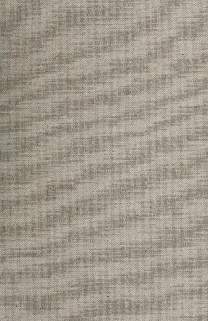 Togo : une loi qui restreint le droit de manifester votée à l’Assemblée Nationale