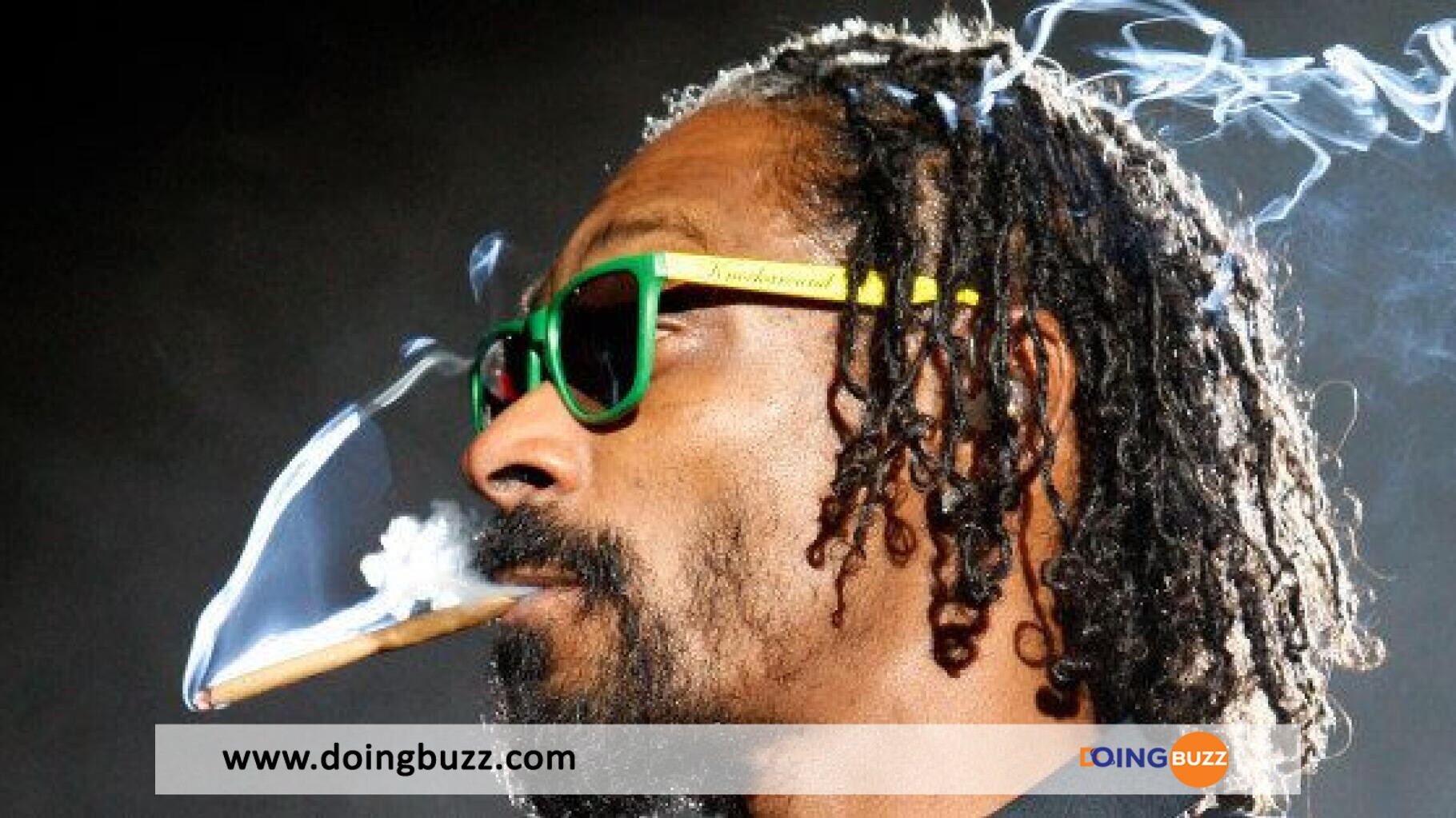 &Quot;J’arrête De Fumer&Quot;, Snoop Dogg Surprend Le Monde