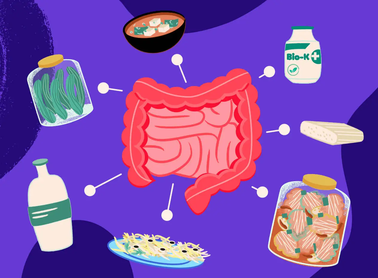 Les Probiotiques : Des Alliés Pour La Santé Intestinale À Découvrir Absolument