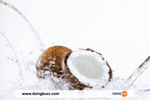 L&Rsquo;Eau De Coco : Un Sérum Naturel Pour La Santé Et La Beauté