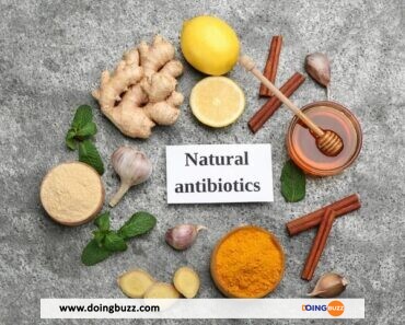 10 Antibiotiques Naturels Pour Avoir Une Santé De Fer
