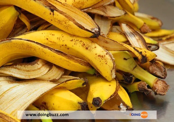 Ne Jetez Plus La Peau De La Banane ! Découvrez 7 Usages Insoupçonnés