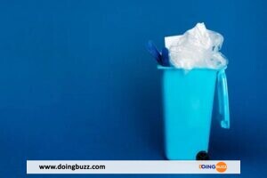 Poubelle nauséabonde : 5 Astuces simples pour éliminer les mauvaises odeurs