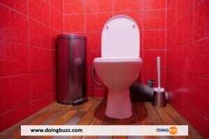 Éliminer Les Mauvaises Odeurs Et Parfumer Les Toilettes : 10 Astuces Pratiques