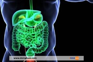 Purge intestinale naturelle : Comment procéder efficacement ?