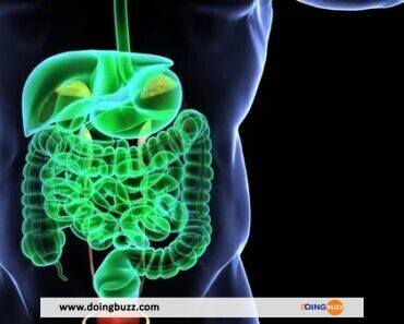 Purge intestinale naturelle : Comment procéder efficacement ?