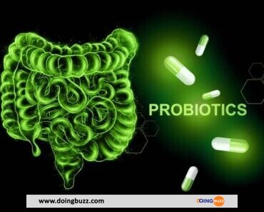 Cure De Probiotiques : Boostez Votre Bien-Être Naturellement